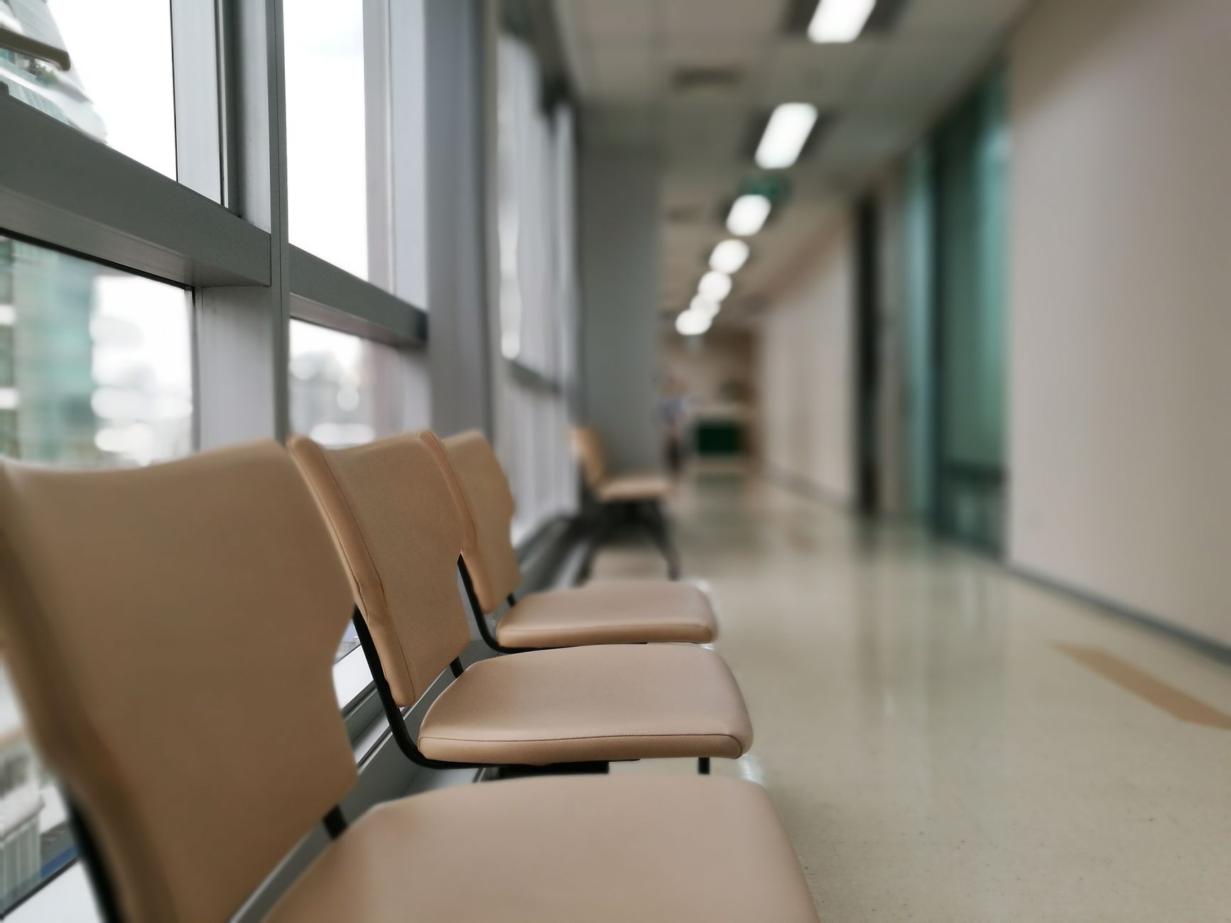 Health NZ to Front Community as Palmerston North Loses Last Gastro Doctor – What the Growing Medical Shortage Means for OSHC Holders in Australia